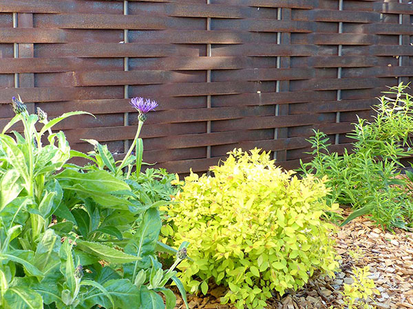 Jardin avec piscine, photo 14