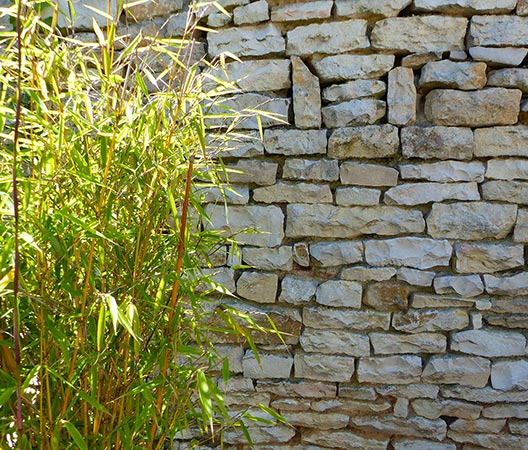 Terrasse jardin photo 6