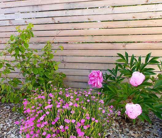 un jardin sur les hauteurs de Dijon  photo 3