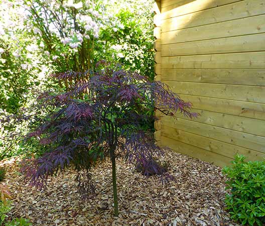 un jardin sur les hauteurs de Dijon  photo 13