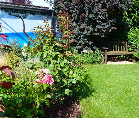 un jardin au cœur de Dijon 3