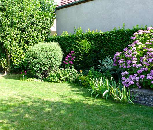 un jardin au cœur de Dijon 4