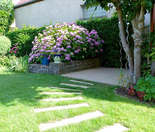 un jardin au cœur de Dijon 7