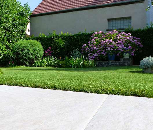 un jardin au cœur de Dijon 11