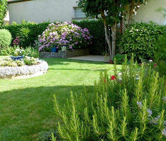 un jardin au cœur de Dijon 15