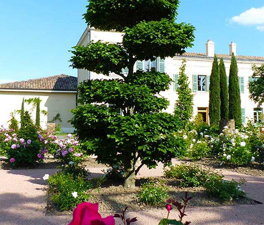 Paysagiste dans le chtâteau en Beaujolais 7