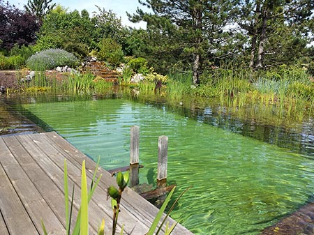 Une baignade naturelle qui fête ses 10 ans !