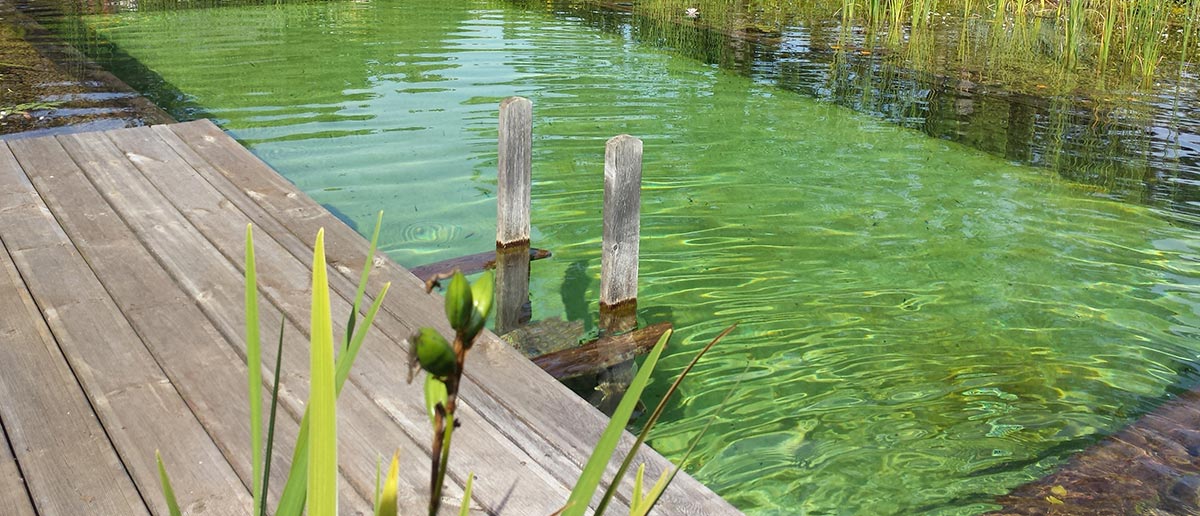 Une baignade naturelle qui fête ses 10 ans