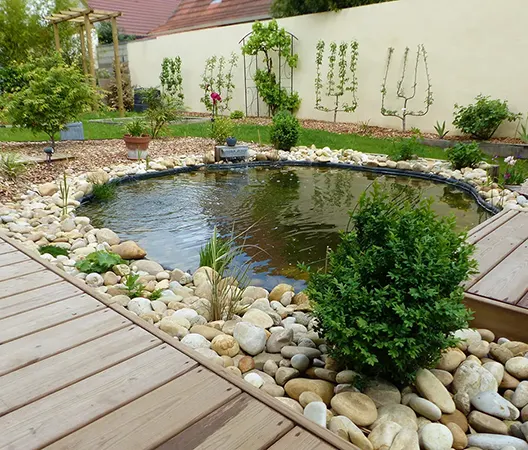 Bassin et jardin aquatique à Dijon