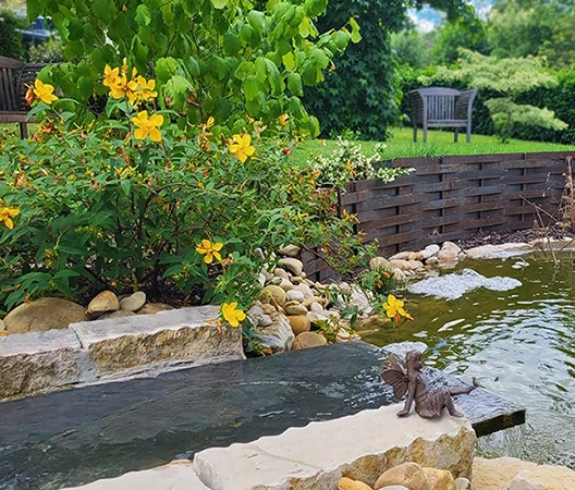 Aménagement d'un jardin d'eau en Bourgogne