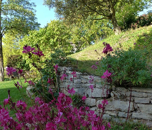 Jardin Bourguignon 1