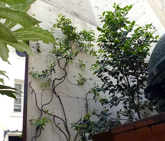 Jardin Urbain 12