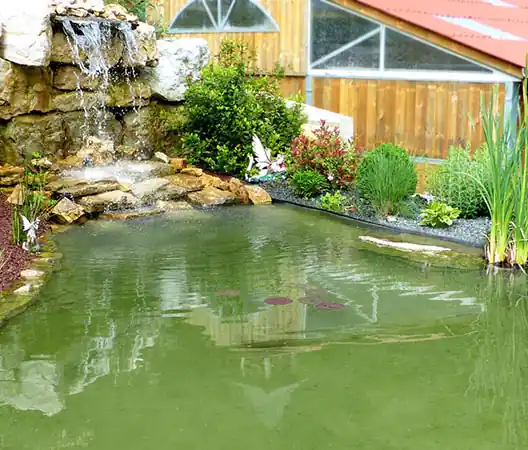Photo Jardin aquatique et cascade