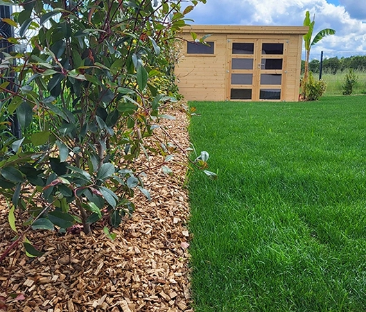 haie vive et abris de jardin bois