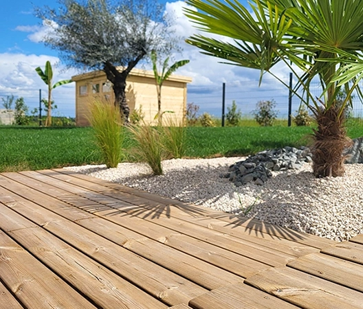 massif de palmier colle a la terrasse