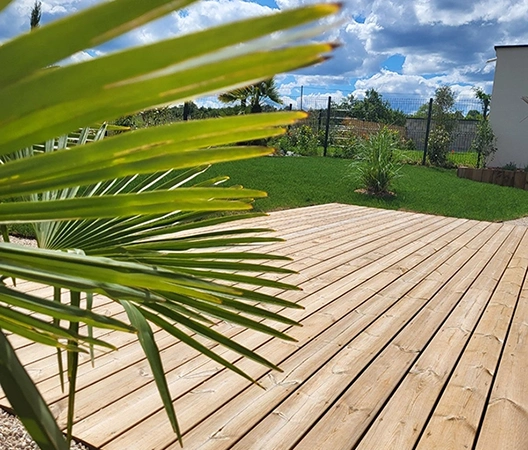 terrasse bois et palmier
