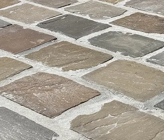 Paves tricolor