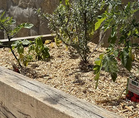 Potager surréléve