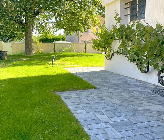 terrasse pavée et grimpante