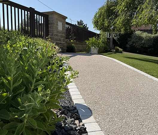 Vegetaux chainage pave et béton désactivé