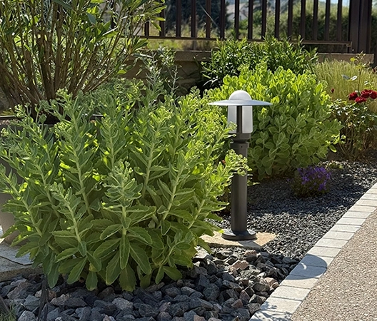 Zoom sur le végetal