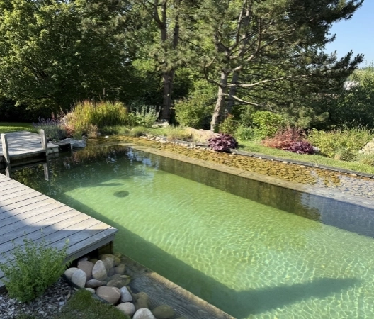 Coin de fraicheur naturelle 9