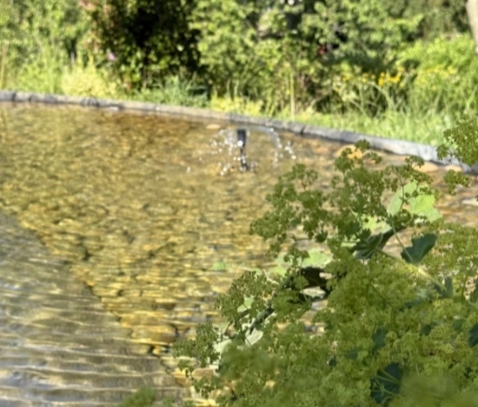 Fontaine dans la baignade naturelle 10