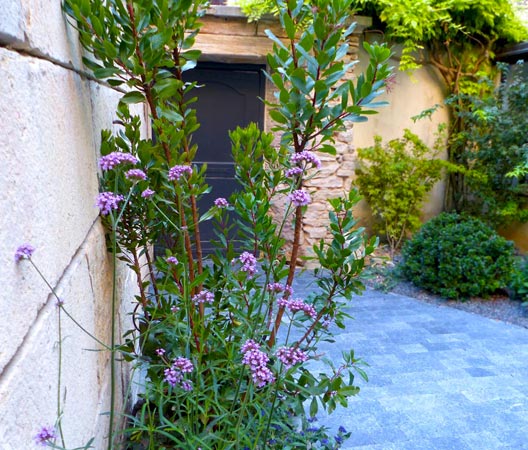 Terrasse et cours de jardin 109