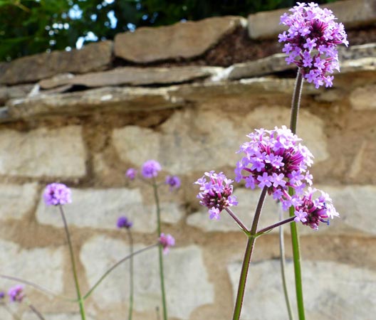 Allées et pavés de jardin 15